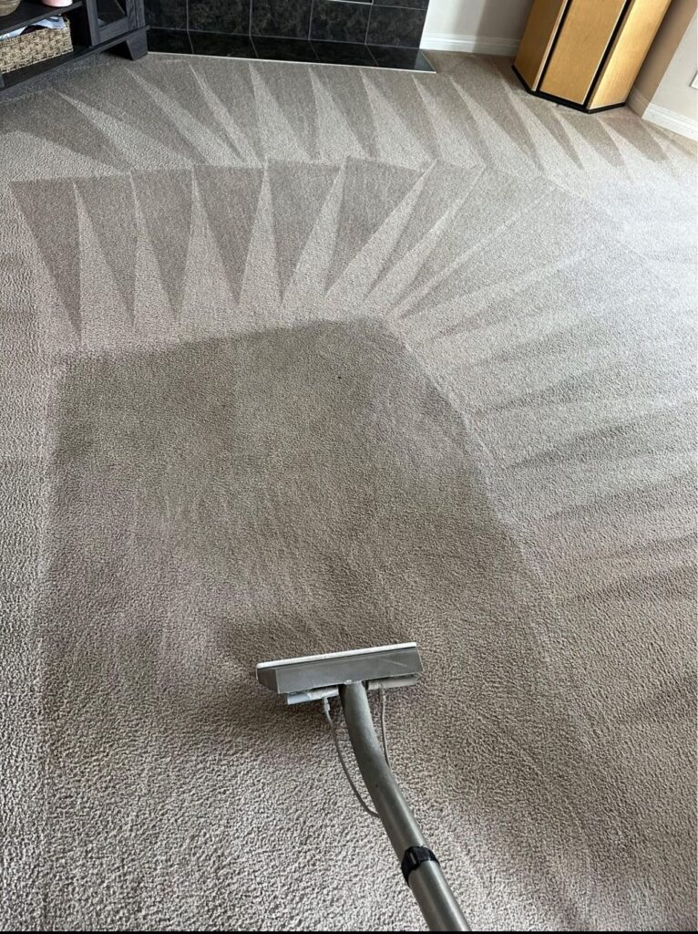 carpet cleaning service results 2