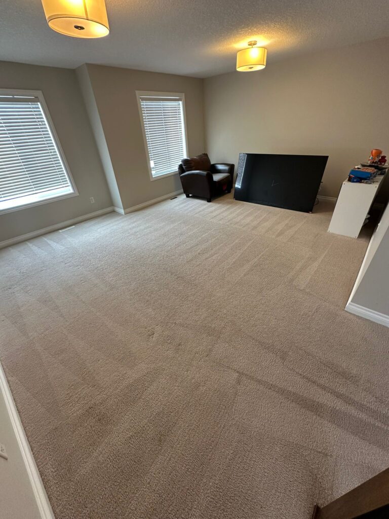 carpet cleaning service results 5