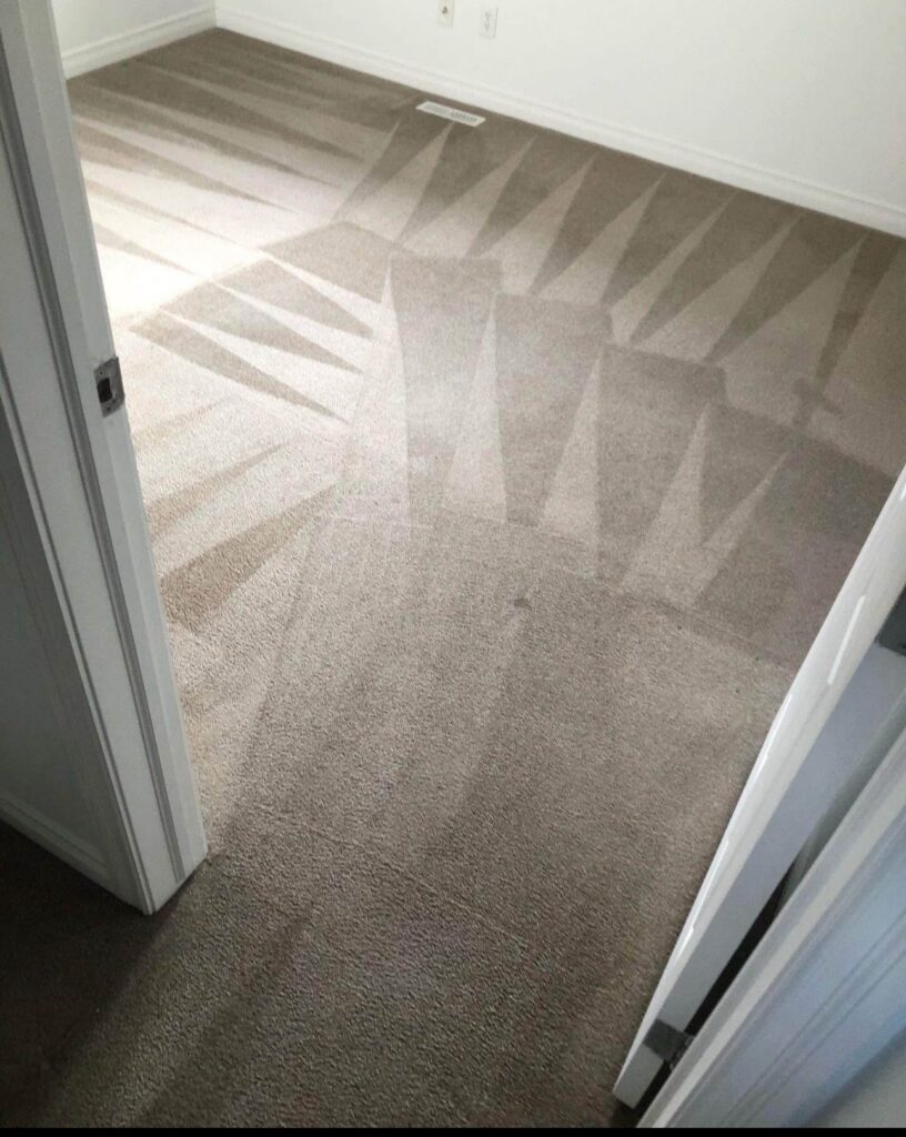 carpet cleaning service results 4
