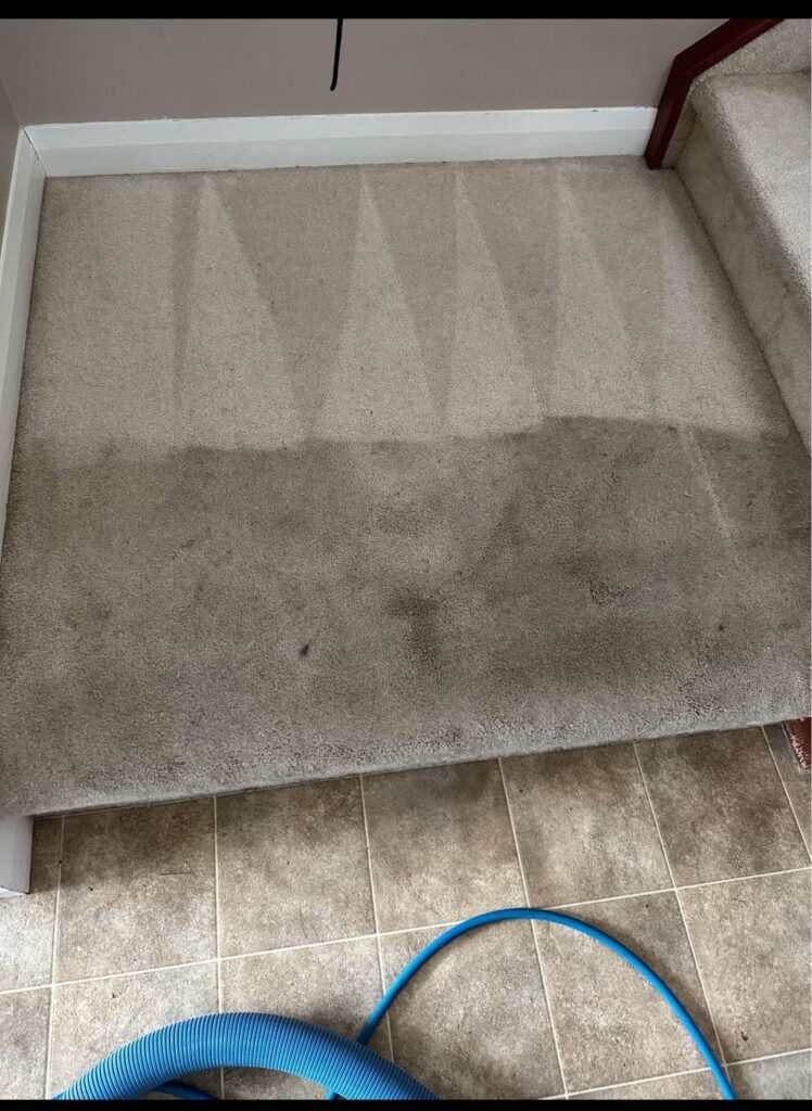 carpet cleaning service results