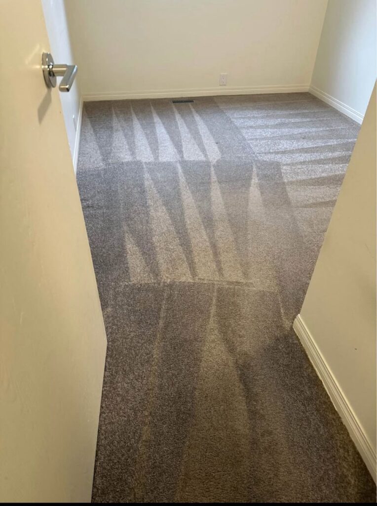 carpet cleaning service results 3